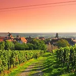 Apartmán L'etoile Du Vignoble Meuble De Tourisme 4 Etoiles Au Coeur D'un Ranch Alsacien Sur La Route Des Vins - Climatise *