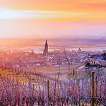 L'etoile Du Vignoble Meuble De Tourisme 4 Etoiles Au Coeur D'un Ranch Alsacien Sur La Route Des Vins - Climatise Apartmán *