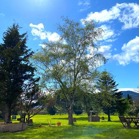 L'etoile Du Vignoble Meuble De Tourisme 4 Etoiles Au Coeur D'un Ranch Alsacien Sur La Route Des Vins - Climatise Lejlighed Dambach