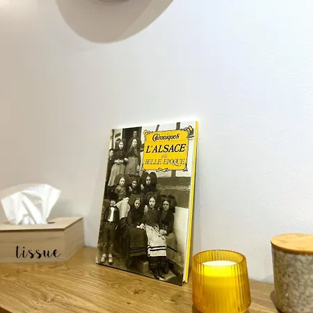 L'etoile Du Vignoble Au Coeur D'un Ranch Alsacien Sur La Route Des Vins Meuble 4 Etoiles - Climatise *