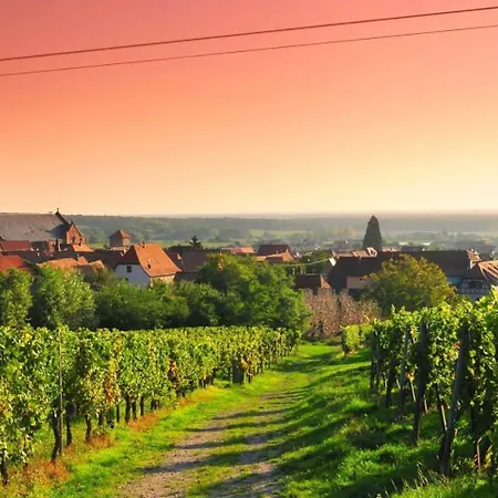 Apartmán L'etoile Du Vignoble Au Coeur D'un Ranch Alsacien Sur La Route Des Vins Meuble 4 Etoiles - Climatise *