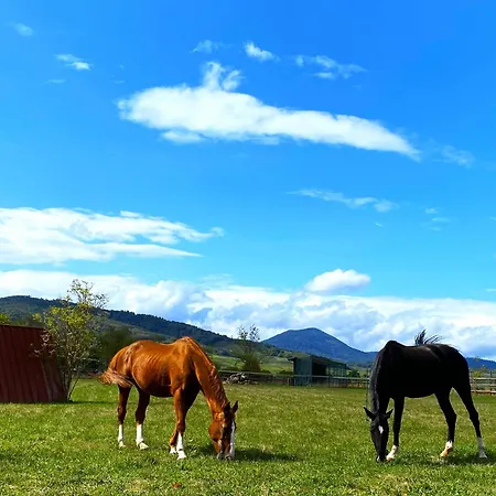 L'etoile Du Vignoble Au Coeur D'un Ranch Alsacien Sur La Route Des Vins Apartment