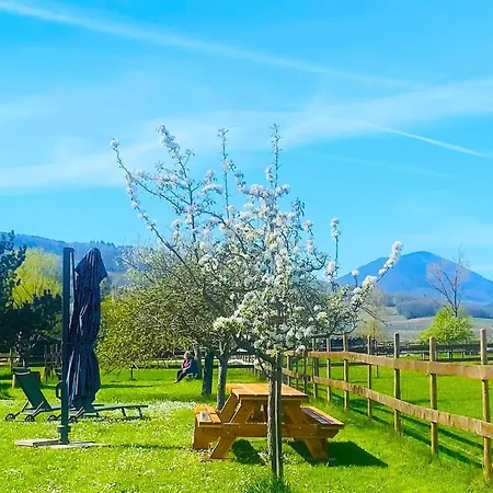 L'etoile Du Vignoble Meuble De Tourisme 4 Etoiles Au Coeur D'un Ranch Alsacien Sur La Route Des Vins - Climatise Lejlighed *