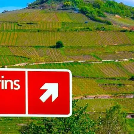 L'etoile Du Vignoble Meuble De Tourisme 4 Etoiles Au Coeur D'un Ranch Alsacien Sur La Route Des Vins - Climatise Dambach
