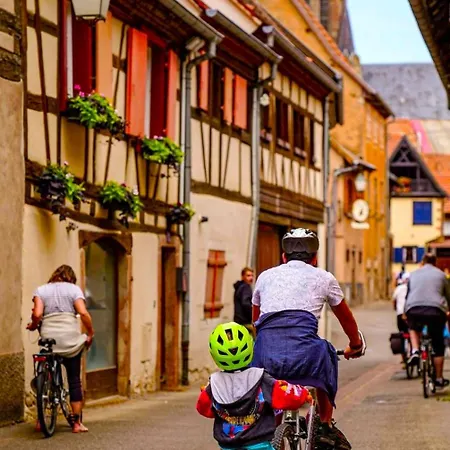 Lejlighed L'etoile Du Vignoble Meuble De Tourisme 4 Etoiles Au Coeur D'un Ranch Alsacien Sur La Route Des Vins - Climatise Dambach