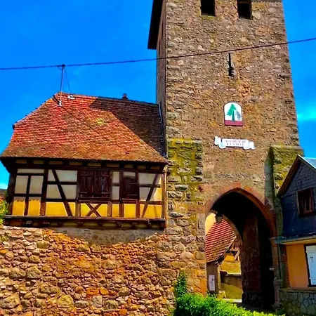 L'etoile Du Vignoble Meuble De Tourisme 4 Etoiles Au Coeur D'un Ranch Alsacien Sur La Route Des Vins - Climatise Dambach
