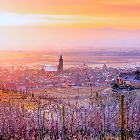 L'etoile Du Vignoble Meuble De Tourisme 4 Etoiles Au Coeur D'un Ranch Alsacien Sur La Route Des Vins - Climatise Lejlighed *