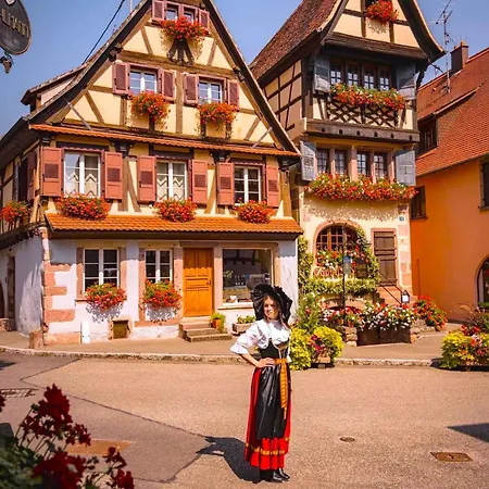 L'etoile Du Vignoble Meuble De Tourisme 4 Etoiles Au Coeur D'un Ranch Alsacien Sur La Route Des Vins - Climatise Lejlighed