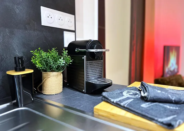 Apartment L'etoile Du Vignoble Meuble De Tourisme 4 Etoiles Au Coeur D'un Ranch Alsacien Sur La Route Des Vins - Climatise Dambach-la-Ville