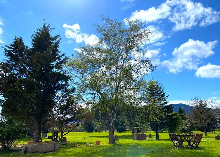 L'etoile Du Vignoble Meuble De Tourisme 4 Etoiles Au Coeur D'un Ranch Alsacien Sur La Route Des Vins - Climatise Apartment Dambach-la-Ville