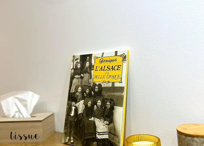 L'etoile Du Vignoble Meuble De Tourisme 4 Etoiles Au Coeur D'un Ranch Alsacien Sur La Route Des Vins - Climatise *