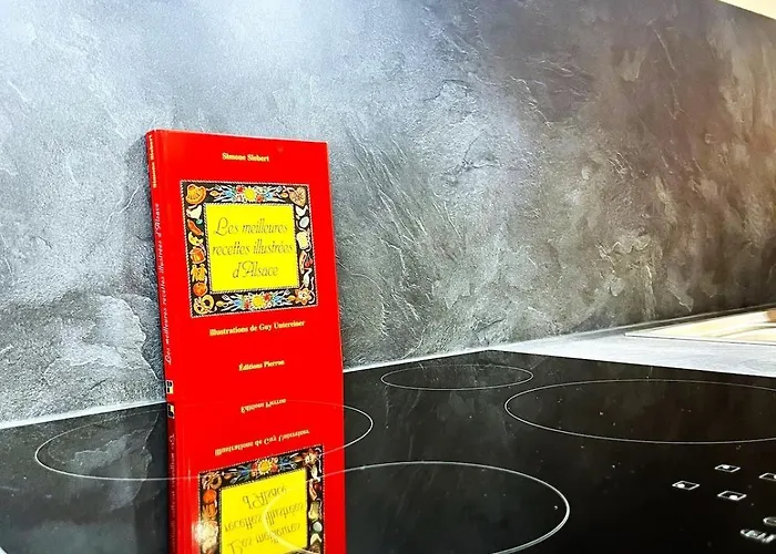 Apartment L'etoile Du Vignoble Meuble De Tourisme 4 Etoiles Au Coeur D'un Ranch Alsacien Sur La Route Des Vins - Climatise *