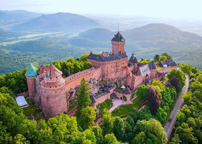 L'etoile Du Vignoble Meuble De Tourisme 4 Etoiles Au Coeur D'un Ranch Alsacien Sur La Route Des Vins - Climatise Apartment