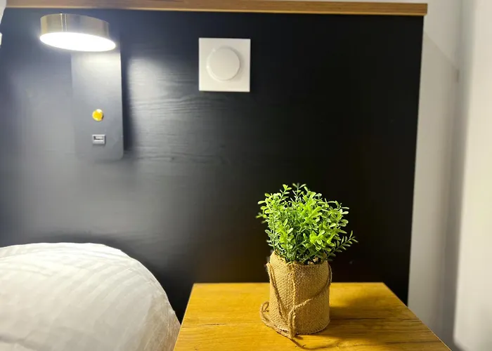 L'etoile Du Vignoble Meuble De Tourisme 4 Etoiles Au Coeur D'un Ranch Alsacien Sur La Route Des Vins - Climatise Apartment