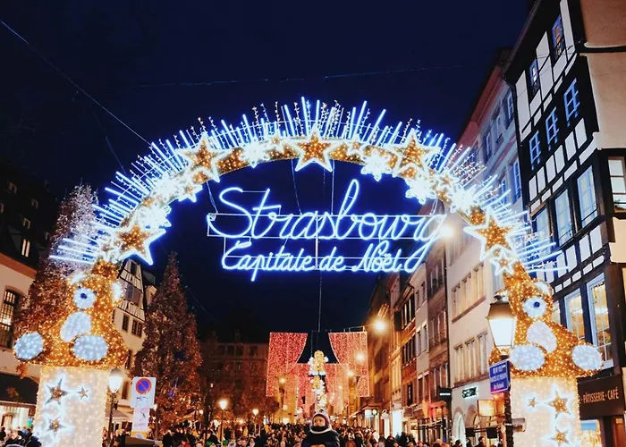 L'etoile Du Vignoble Meuble De Tourisme 4 Etoiles Au Coeur D'un Ranch Alsacien Sur La Route Des Vins - Climatise