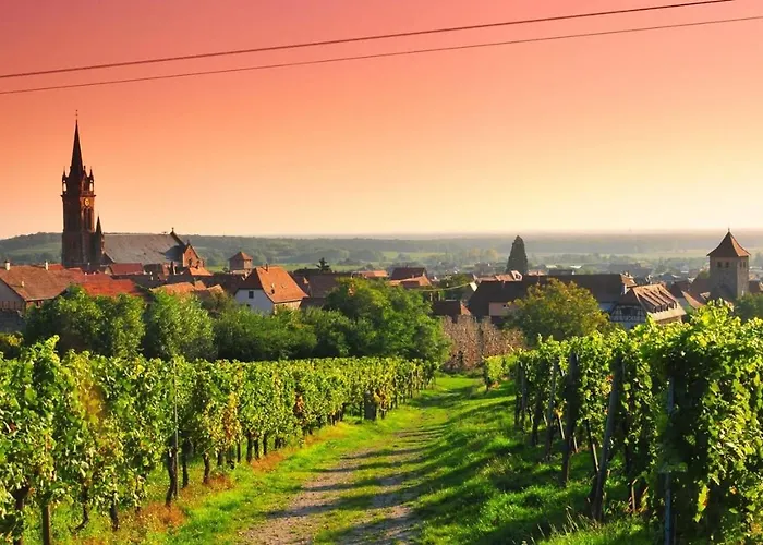 Apartamento L'etoile Du Vignoble Meuble De Tourisme 4 Etoiles Au Coeur D'un Ranch Alsacien Sur La Route Des Vins - Climatise *
