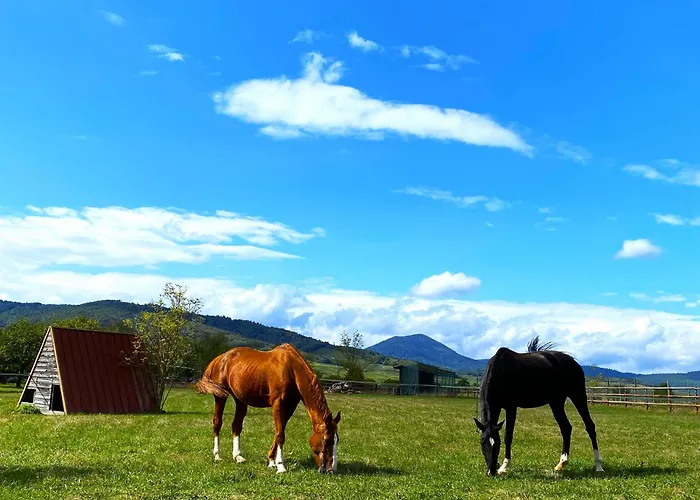L'etoile Du Vignoble Meuble De Tourisme 4 Etoiles Au Coeur D'un Ranch Alsacien Sur La Route Des Vins - Climatise Apartment