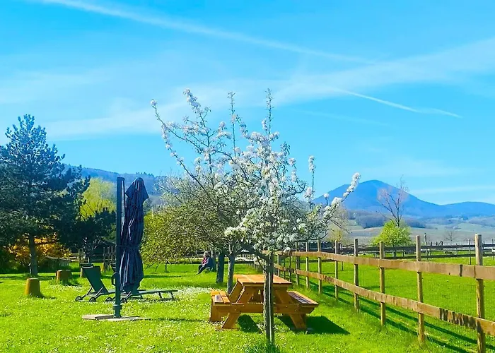 L'etoile Du Vignoble Meuble De Tourisme 4 Etoiles Au Coeur D'un Ranch Alsacien Sur La Route Des Vins - Climatise Apartment *