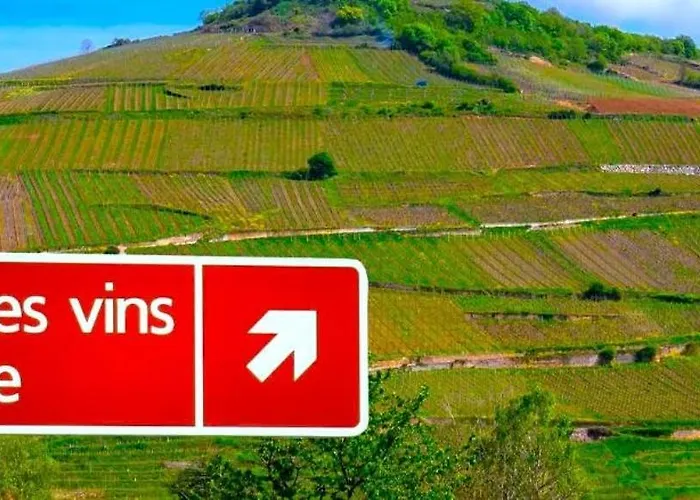 L'etoile Du Vignoble Meuble De Tourisme 4 Etoiles Au Coeur D'un Ranch Alsacien Sur La Route Des Vins - Climatise Dambach-la-Ville