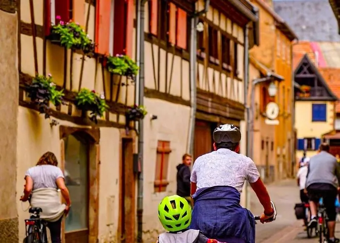 Apartment L'etoile Du Vignoble Meuble De Tourisme 4 Etoiles Au Coeur D'un Ranch Alsacien Sur La Route Des Vins - Climatise Dambach-la-Ville