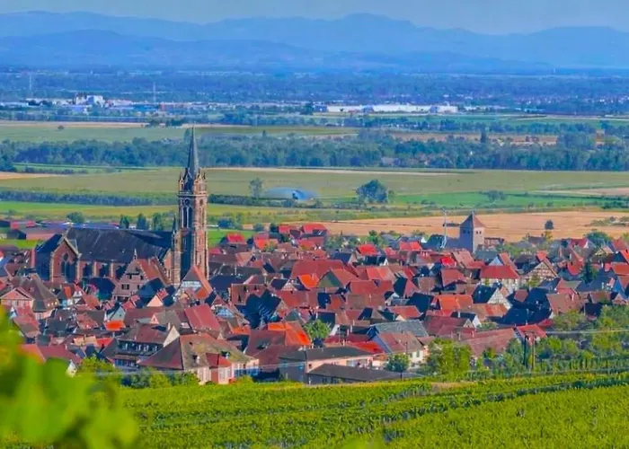L'etoile Du Vignoble Meuble De Tourisme 4 Etoiles Au Coeur D'un Ranch Alsacien Sur La Route Des Vins - Climatise Dambach-la-Ville