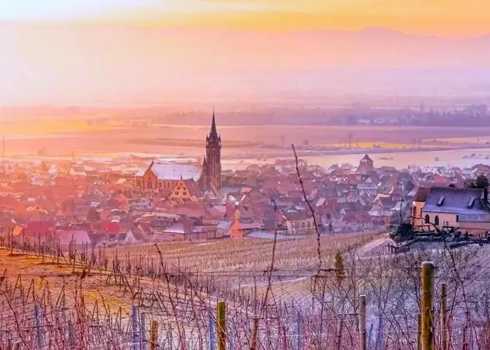 L'etoile Du Vignoble Meuble De Tourisme 4 Etoiles Au Coeur D'un Ranch Alsacien Sur La Route Des Vins - Climatise Apartment *