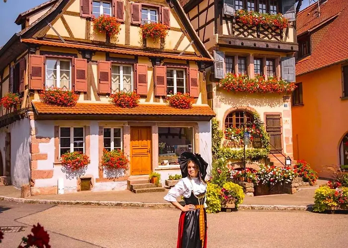 L'etoile Du Vignoble Meuble De Tourisme 4 Etoiles Au Coeur D'un Ranch Alsacien Sur La Route Des Vins - Climatise Apartment